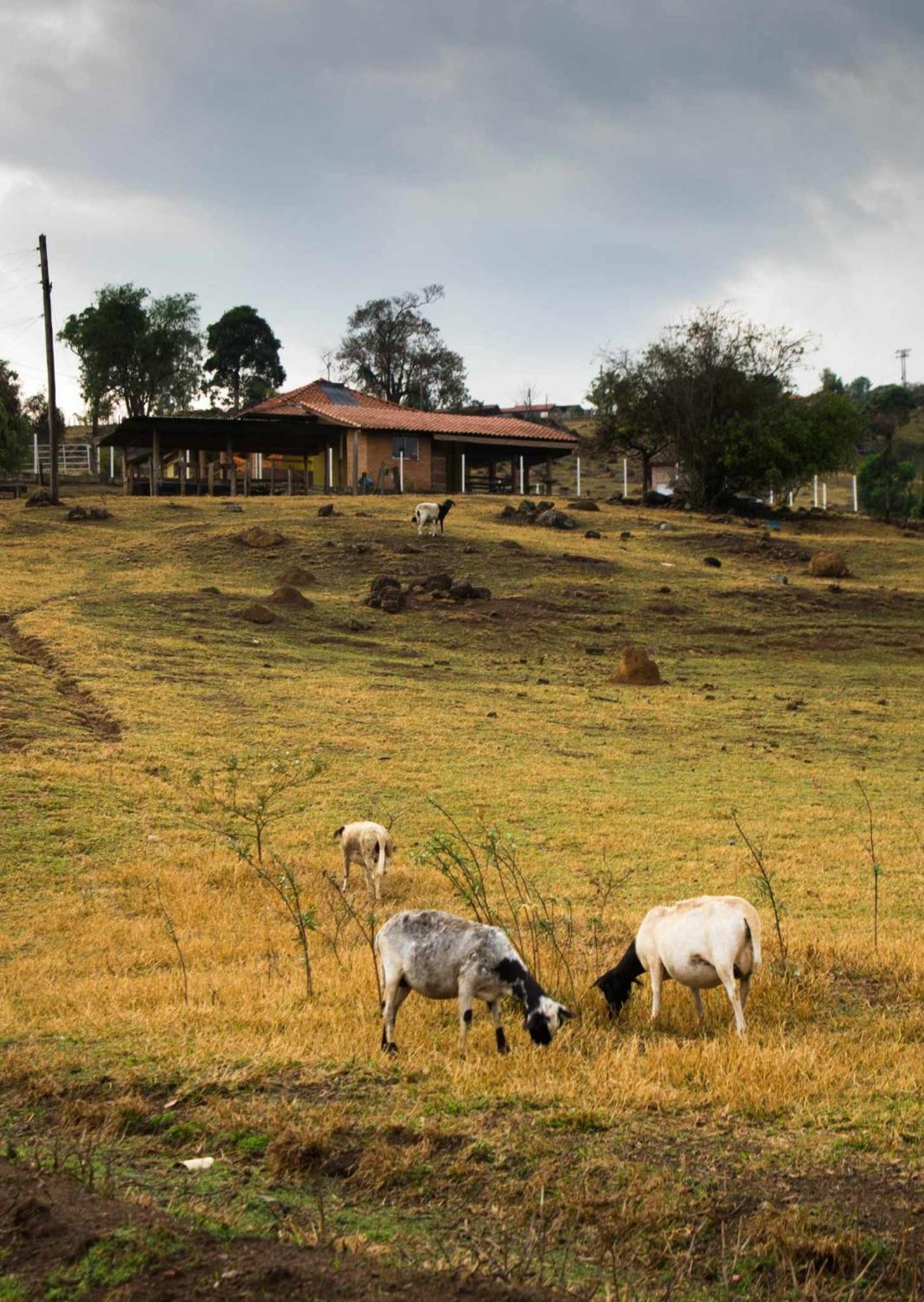 Sitio No Interior De Sp Para Curtir A Natureza Aguas da Prata Εξωτερικό φωτογραφία